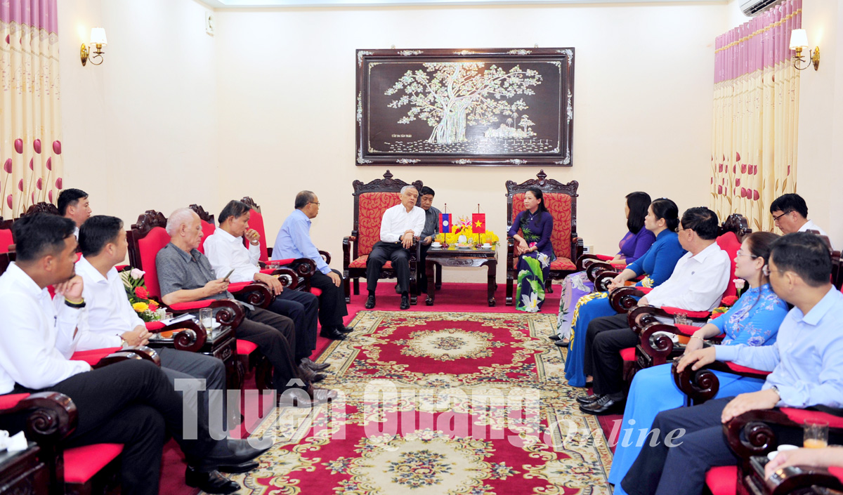 Đoàn đại biểu Ủy ban Hòa bình và Đoàn kết Lào thăm và làm việc tại tỉnh