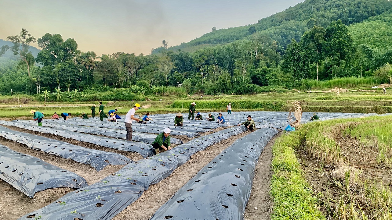 Chiêm Hóa: MTTQ xã Hùng Mỹ vận động hỗ trợ nông dân thôn Hùng Dũng làm đất trồng cây vụ đông