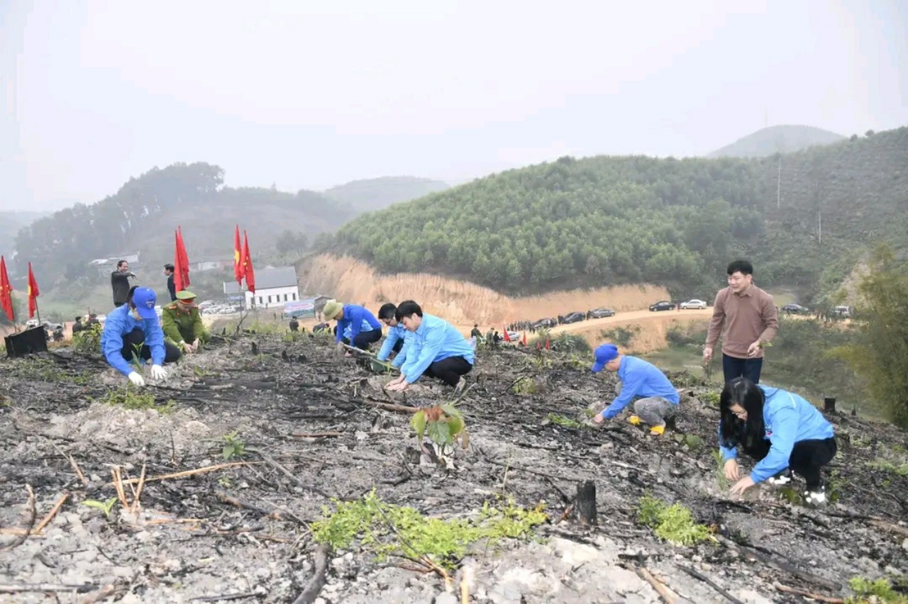 MTTQ và các tổ chức chính trị - xã hội huyện Hàm Yên tuyên truyền nhân dân trồng rừng năm 2023