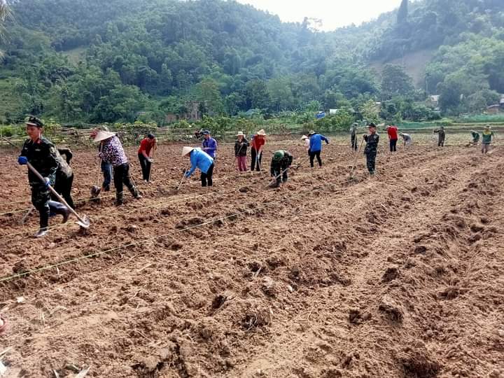 Chiêm Hóa: MTTQ xã Kiên Đài phối hợp giúp gia đình thương binh chuyển đổi cơ cấu cây trồng