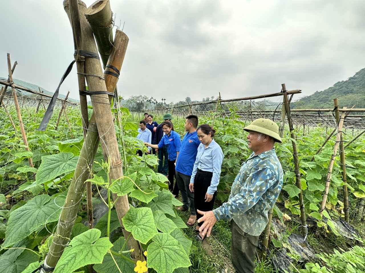 MTTQ xã Tân An, huyện Chiêm Hoá tích cực thực hiện Chương mục tiêu quốc gia xây dựng nông thôn mới