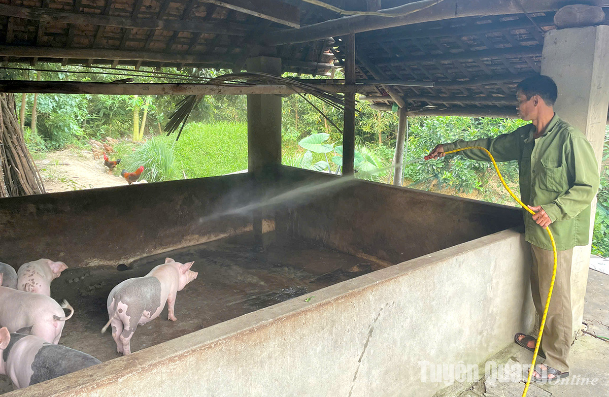 Thúc đẩy chăn nuôi an toàn