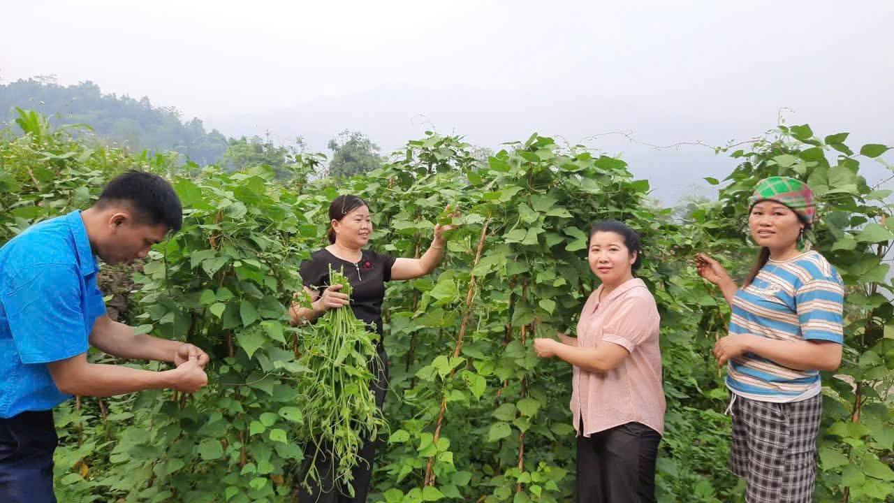 XÃ GIÁP TRUNG: Ủy ban MTTQ Việt Nam xã Giáp Trung thăm mô hình phát triển kinh tế tiêu biểu tại thôn Bó Lóa