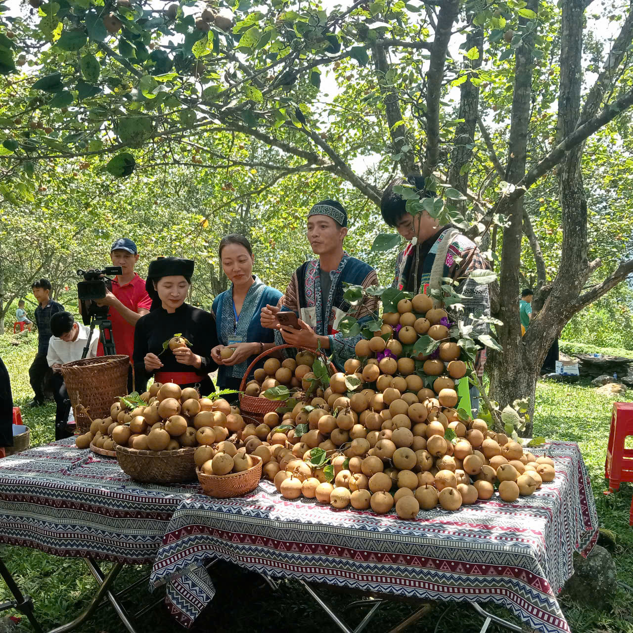 Xã Hồng Thái sôi nổi các hoạt động Lễ hội Lê, chợ phiên, chợ số và giao lưu văn hóa, thể thao