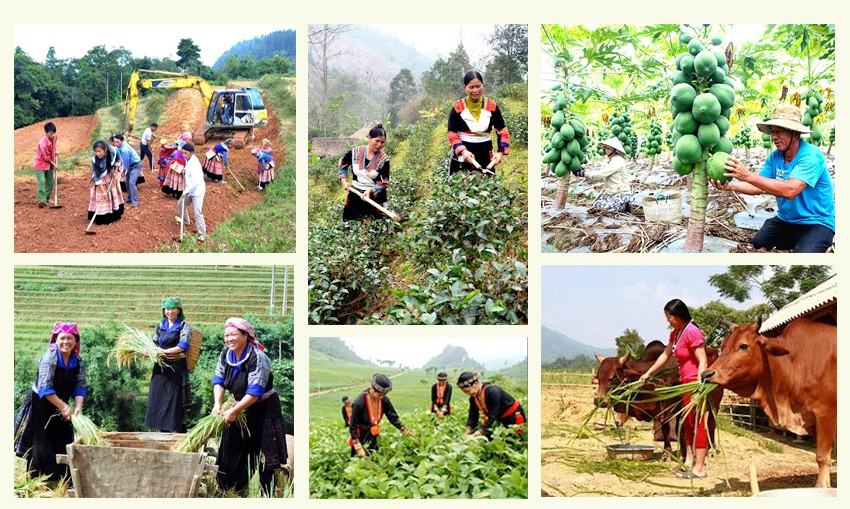 Triển khai thực hiện công tác giảm nghèo bền vững đến năm 2030 trên địa bàn tỉnh Tuyên Quang
