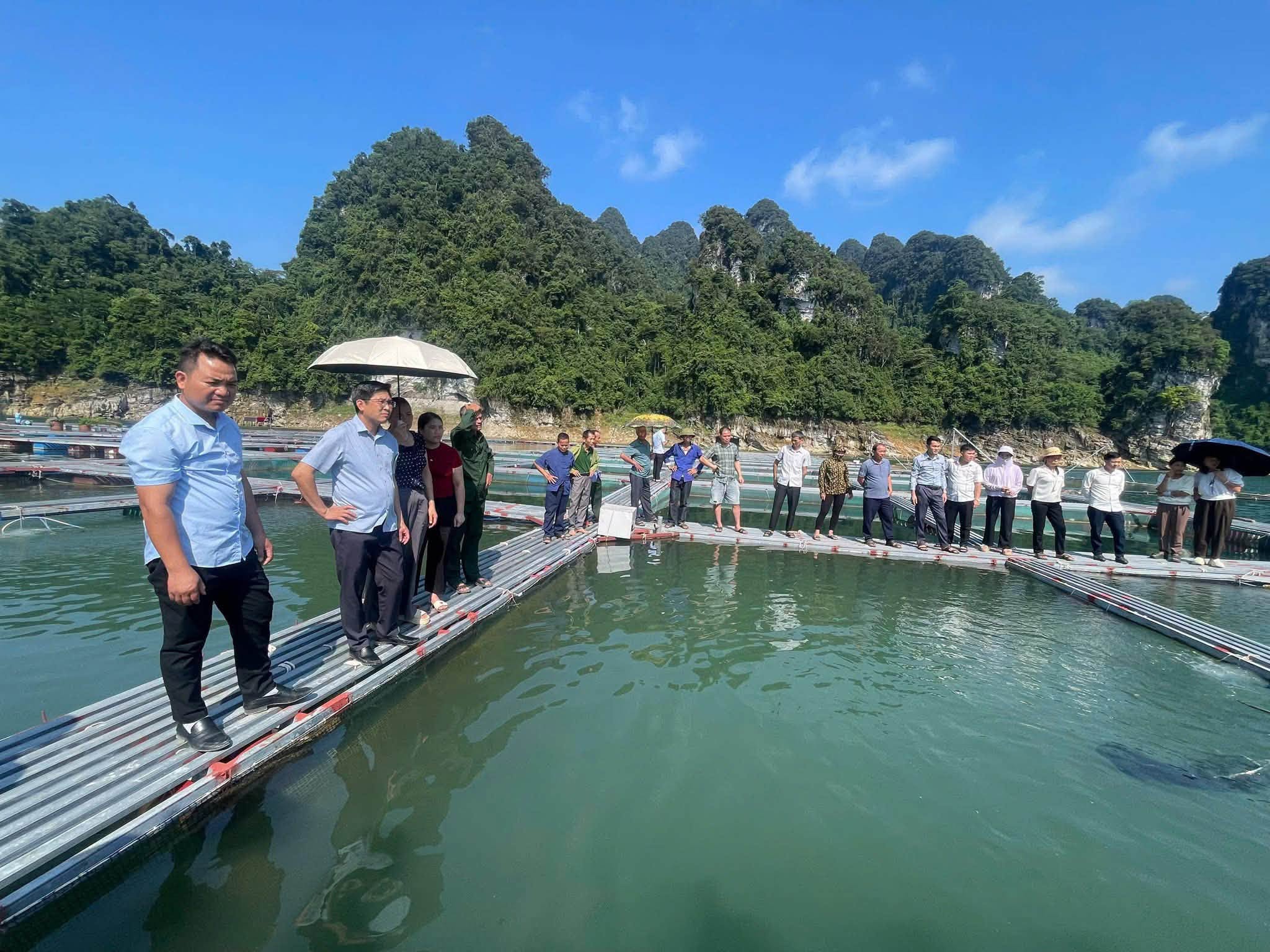 XÃ TÂN MỸ:  Tham quan, học tập kinh nghiệm các mô hình phát triển kinh tế hiệu quả tại xã Thượng Lâm